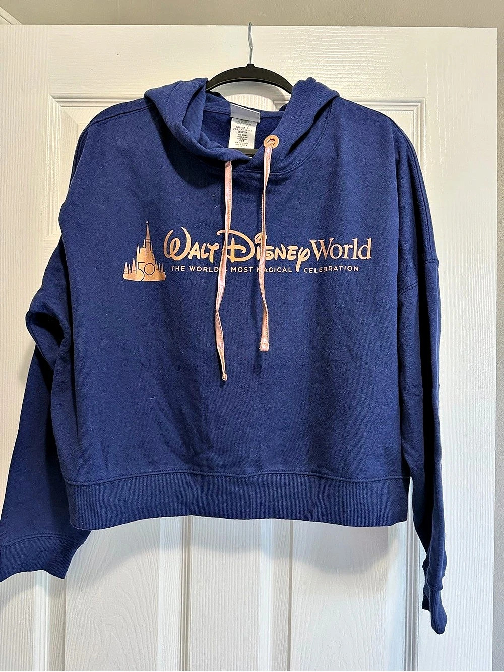 Walt Disney World Disney World Pullover Hoodie in Blue Size Large NWT